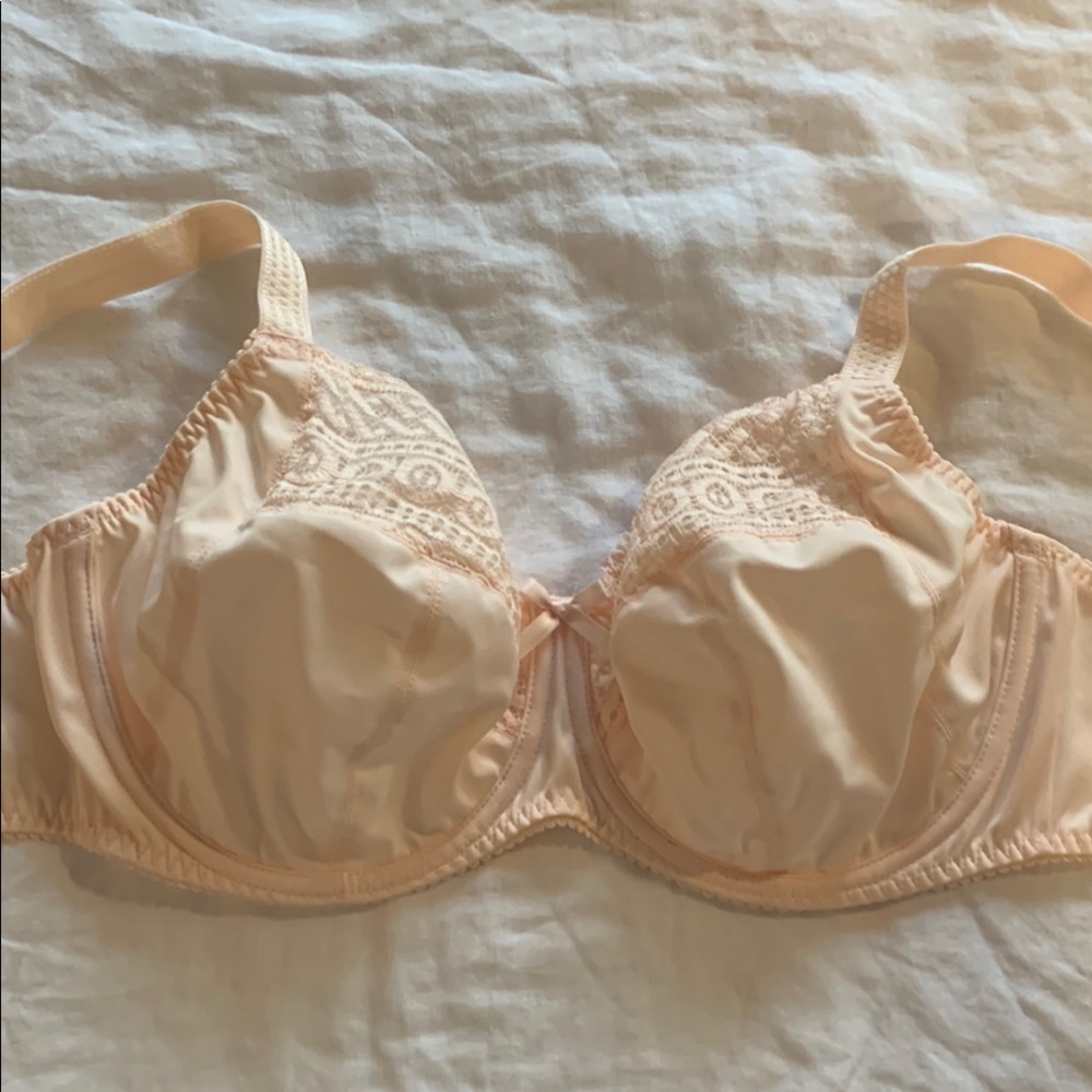 Elegant Cream/Peach Unlined Lace Bra NWT